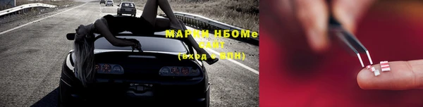 сатива Нефтекумск