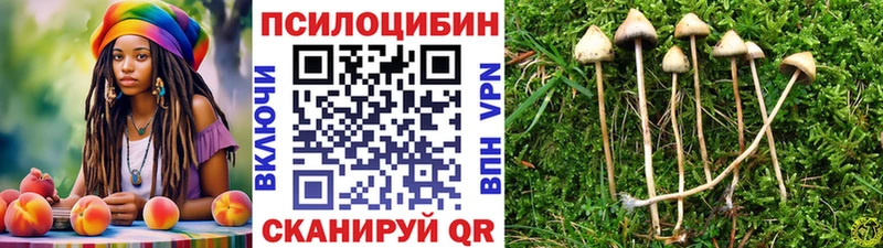 Галлюциногенные грибы Psilocybe  Шумерля 